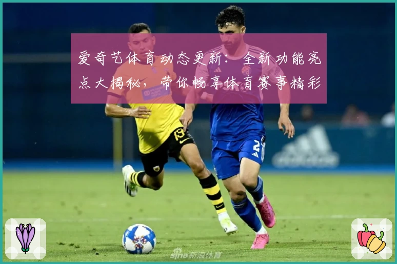 爱奇艺体育动态更新：全新功能亮点大揭秘，带你畅享体育赛事精彩瞬间